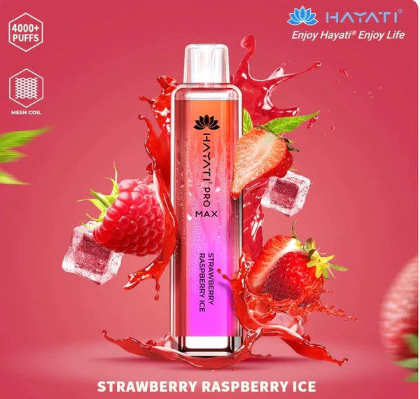 Hayati Pro Max 4000 Puffs Disposable Vape (Pack of 10)